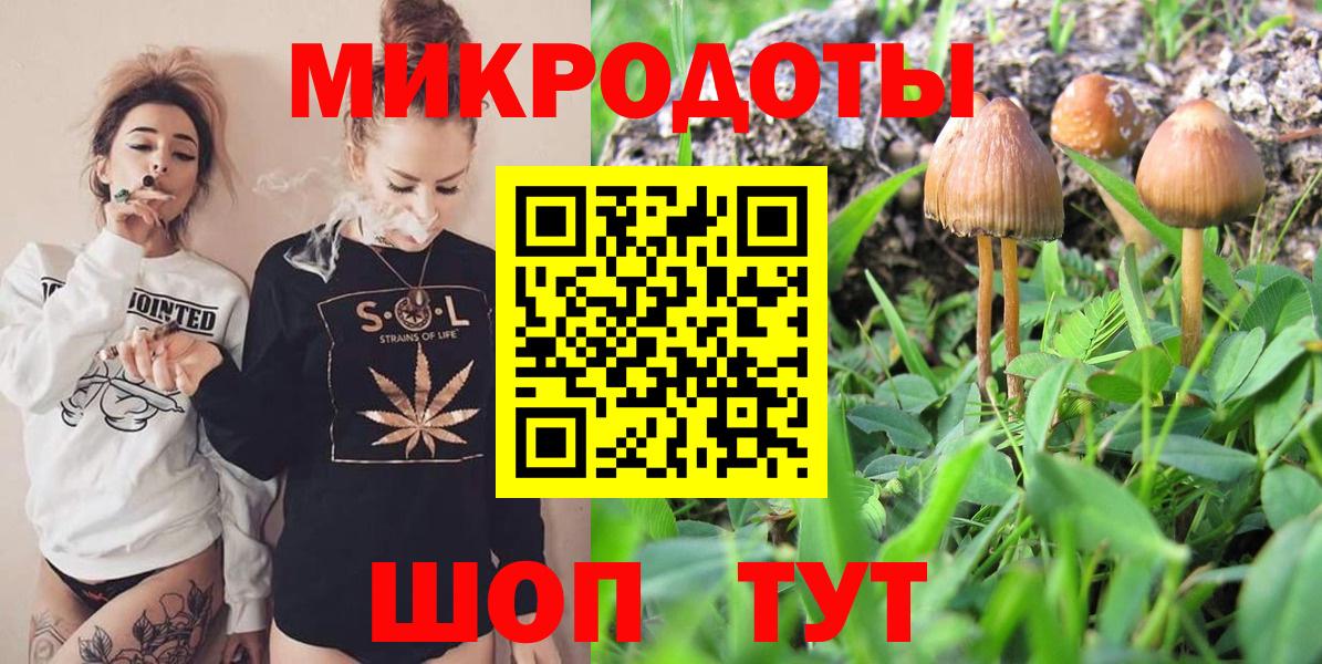 Псилоцибиновые грибы Psilocybe  Вход с VPN  Кузнецк 